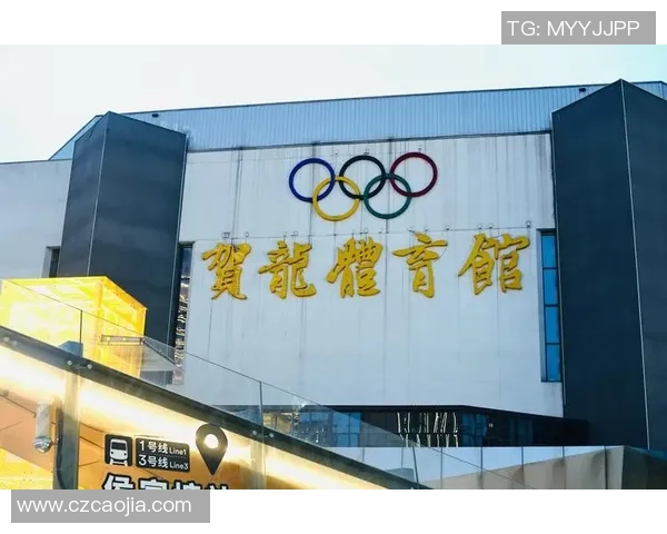 重庆羽毛球队中路突破的秘密与深度解析探讨