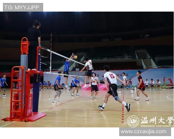 杭州篮球队在冠军赛中的速度优势与战术解析