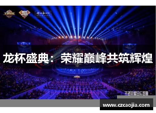 龙杯盛典：荣耀巅峰共筑辉煌